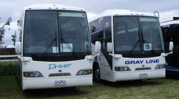 Denning Silver Phoenix: Driver 82 Gray Line 79